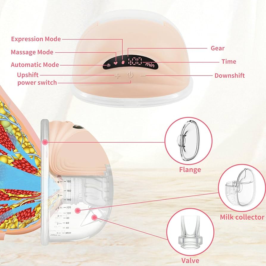 momcare الاصدار الاول